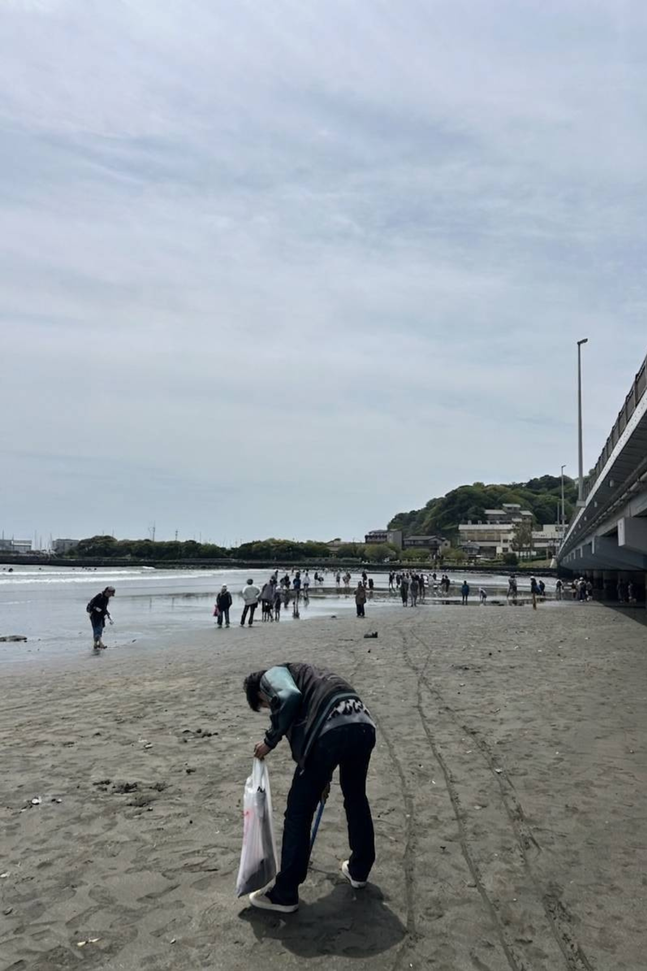 活動写真