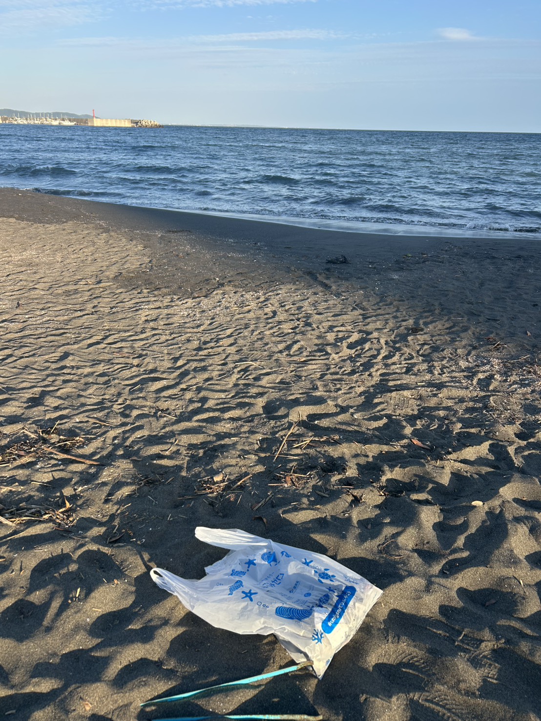 片瀬東浜海岸で回収したごみ袋と海岸の風景